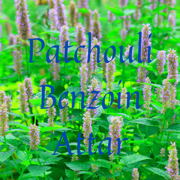 Patchouli Benzoin Attar- Special Edition 100% natural blend