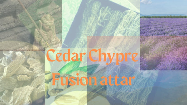 Cedar Chypre- Fusion Attar-100% natual
