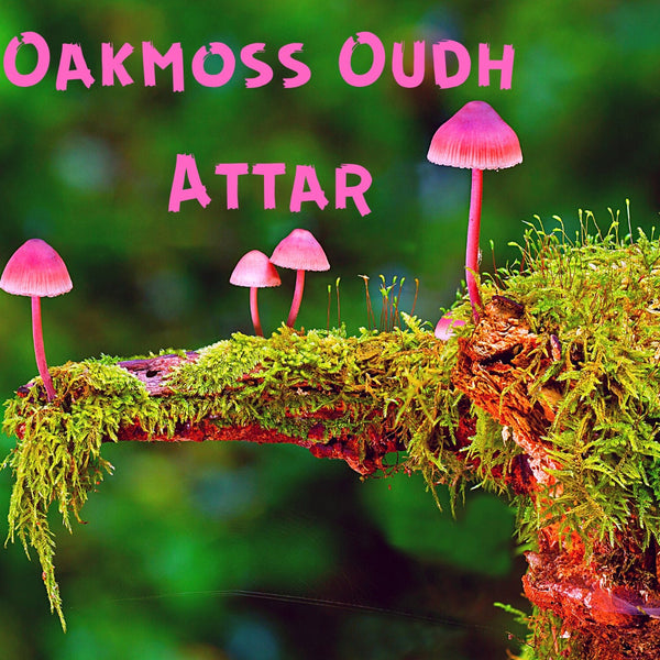 Oakmoss Oudh Attar-labdanum - oudh -oakmoss -100% natural blend