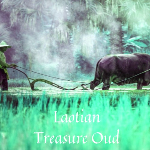 Treasure Oud -Laos Oud -pure oil