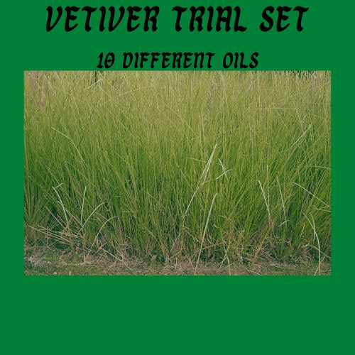 Vetiver Fragrance Set - A variety of Vetivers in a wide array of blends